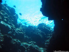 Underwater Picture
