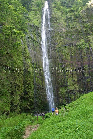 Waimoku Falls, Hana, Maui, Hawaii - Hawaiipictures.com