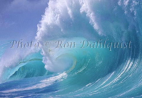Breaking wave, Waimea,Oahu, Hawaii Picture Photo - Hawaiipictures.com