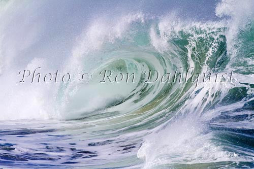 Close-up of wave breaking on the north shore of Oahu, Hawaii Photo - Hawaiipictures.com