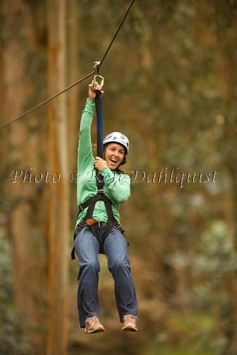 Zipline at Skyline Eco-Adventures, Upcountry Maui, Hawaii - Hawaiipictures.com