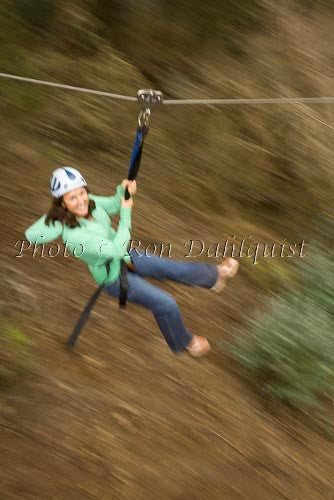 Zipline at Skyline Eco-Adventures, Upcountry Maui, Hawaii Picture - Hawaiipictures.com