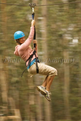 Zipline at Skyline Eco-Adventures, Upcountry Maui, Hawaii Photo - Hawaiipictures.com Zipline at Skyline Eco-Adventures, Upcountry Maui, Hawaii Photo - Hawaiipictures.com