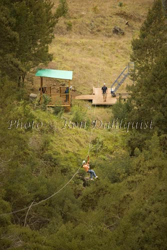 Zipline at Skyline Eco-Adventures, Upcountry Maui, Hawaii Picture Photo - Hawaiipictures.com Zipline at Skyline Eco-Adventures, Upcountry Maui, Hawaii Picture Photo - Hawaiipictures.com