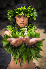 Hawaii Hula Pictures
