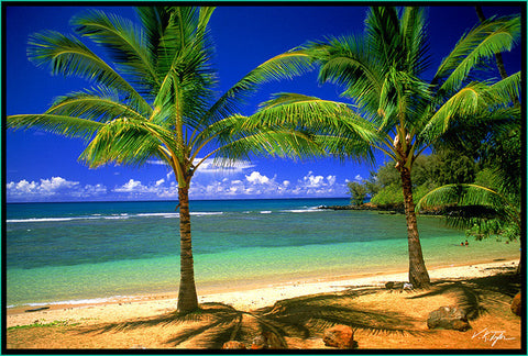 Tropical Lagoon Anahola Kauai - Hawaiipictures.com