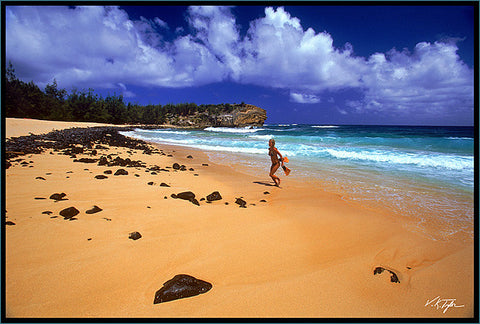 Summer Day At The Beach Kauai - Hawaiipictures.com