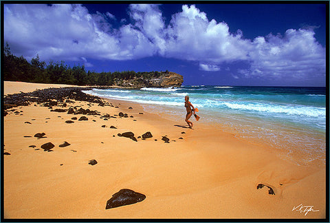 Summer Day At The Beach Kauai - Hawaiipictures.com