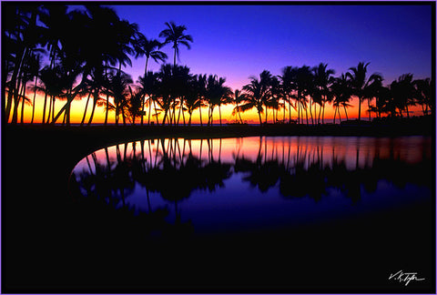 Tropical Reflections Big Island - Hawaiipictures.com