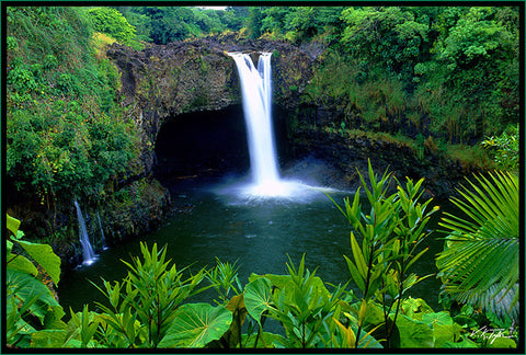 Rainbow Falls Foliage Big Island - Hawaiipictures.com