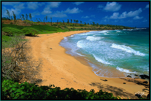 Donkey Beach Picture Kealia Kauai - Hawaiipictures.com