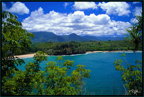 Kalihiwai Beach Kauai - Hawaiipictures.com