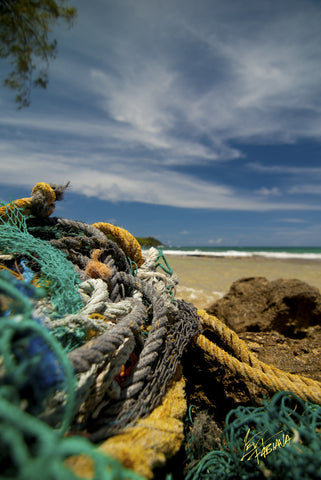 Moloaa Fishing Ropes Kauai - Hawaiipictures.com