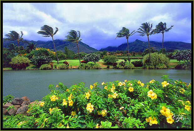 Maui Tropical Plantation in Waikapu - Hawaiipictures.com
