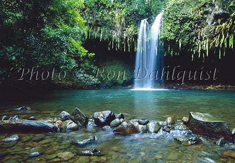 Twin Falls, Maui, Hawaii - Hawaiipictures.com