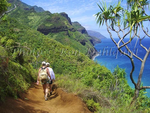 Hikers on the Kalalau Trail which runs along the Na Pali coast. Kauai, Hawaii Photo - Hawaiipictures.com