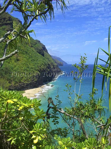 View of Na Pali coast and Hanakapiai beach area as viewed from Kalalau Trail. Kauai, Hawaii - Hawaiipictures.com
