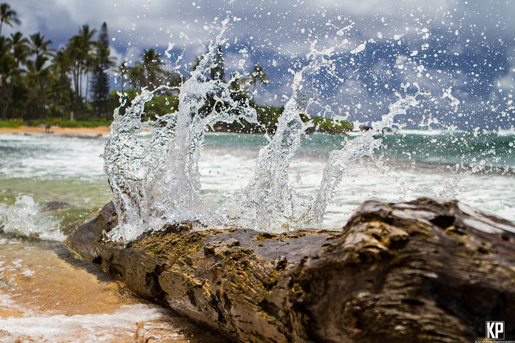 Kauai Driftwood Splash - Hawaiipictures.com