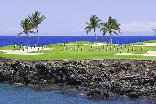 Mauna Lanai Golf Course, Palm Trees .Big Island of Hawaii Picture - Hawaiipictures.com