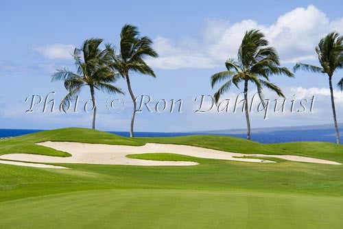 Mauna Lanai Golf Course and sand traps, Big Island of Hawaii - Hawaiipictures.com