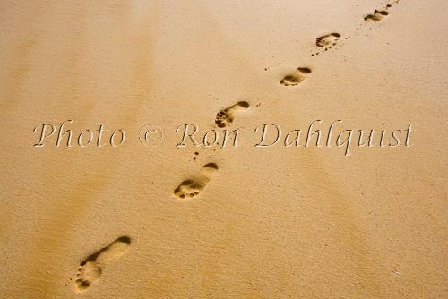 Footprints in the sand, Maui, Hawaii - Hawaiipictures.com