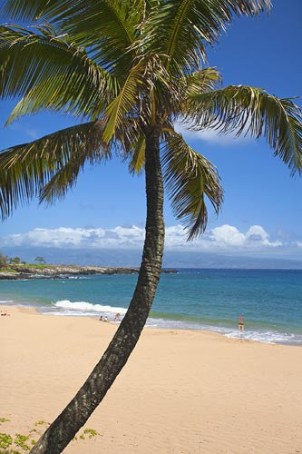 Fleming Beach, Kapalua, Maui, Hawaii Picture Stock Photo - Hawaiipictures.com