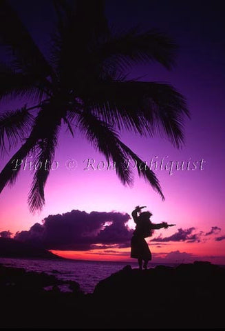 Silhouette of hula dancer at sunset. Maui, Hawaii Picture Photo Stock Photo - Hawaiipictures.com