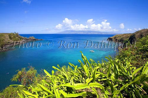 Beautiful Honolua Bay, Kapalua, Maui, Hawaii - Hawaiipictures.com