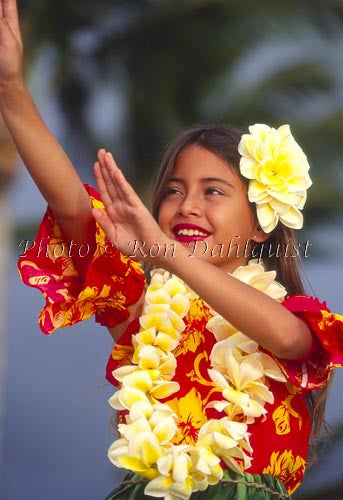 Keiki hula dancer, Maui, Hawaii Photo Print - Hawaiipictures.com