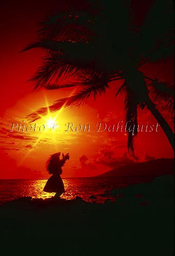 Silhouette of hula dancer, Maui, Hawaii Photo - Hawaiipictures.com