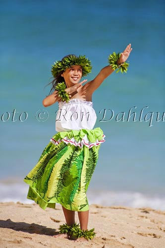 Keiki hula dancer, Maui, Hawaii Photo Stock Photo Print - Hawaiipictures.com