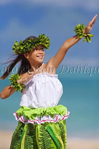 Keiki hula dancer, Maui, Hawaii Stock Photo Print - Hawaiipictures.com