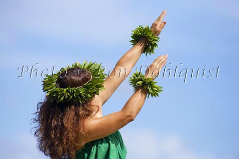 Hula Kahiko dancer, Maui, Hawaii MR Picture Stock Photo - Hawaiipictures.com