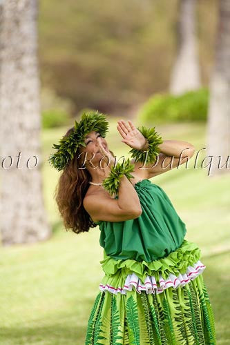 Hula Kahiko dancer, Maui, Hawaii Picture Photo - Hawaiipictures.com