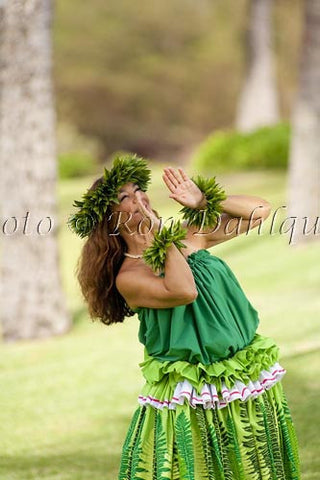 Hula Kahiko dancer, Maui, Hawaii Picture Photo - Hawaiipictures.com