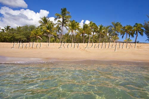 Palm trees, sand and ocean at Manele Bay and Hulopoe Beach, Lanai, Hawaii - Hawaiipictures.com