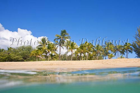 Palm trees, sand and ocean at Manele Bay and Hulopoe Beach, Lanai, Hawaii Picture Photo - Hawaiipictures.com