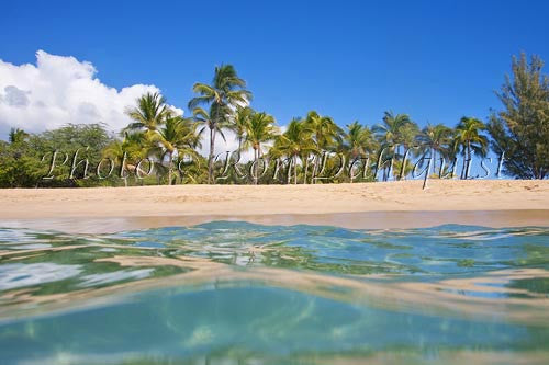Palm trees, sand and ocean at Manele Bay and Hulopoe Beach, Lanai, Hawaii Photo - Hawaiipictures.com
