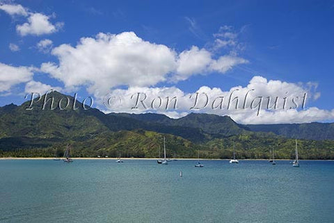 Hanalei Bay, Princeville, Kauai, Hawaii - Hawaiipictures.com