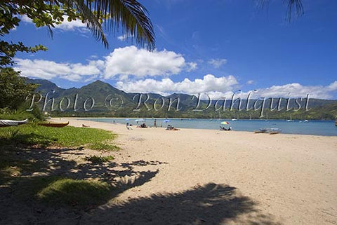 Hanalei Beach and Bay, Princeville, Kauai, Hawaii Picture - Hawaiipictures.com