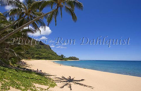 Haena Beach. Kauai, Hawaii Picture - Hawaiipictures.com