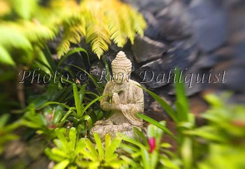 Budhist statue in water garden with Bromeliads, Maui - Hawaiipictures.com