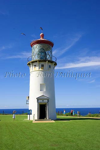 Kilauea Lighthouse. Kauai, Hawaii - Hawaiipictures.com