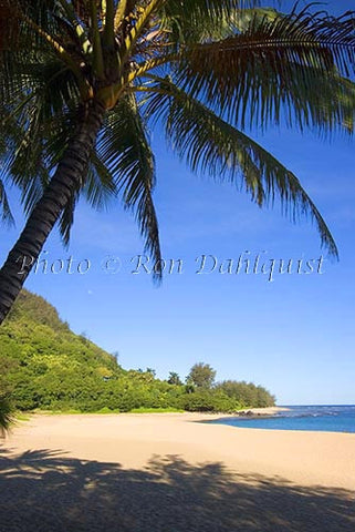 Haena Beach. Kauai, Hawaii Picture Photo - Hawaiipictures.com