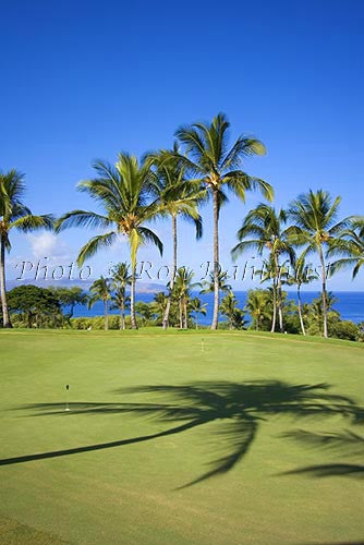 Wailea Gold Golf Course, Maui, Hawaii Photo Stock Photo - Hawaiipictures.com