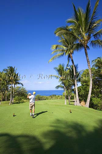 Wailea Gold Golf Course, Maui, Hawaii Picture Photo - Hawaiipictures.com