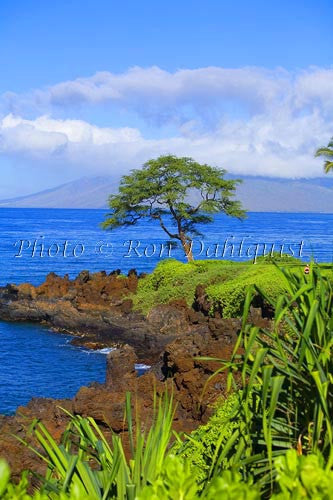 Wailea Point, Maui, Hawaii - Hawaiipictures.com