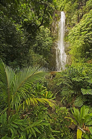 Wailua Falls, Hana, Maui, Hawaii - Hawaiipictures.com