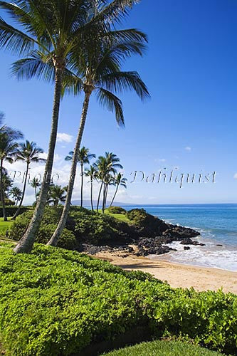Ulua Beach and palm trees, Wailea, Maui, Hawaii - Hawaiipictures.com