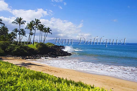 Ulua Beach and palm trees, Wailea, Maui, Hawaii Picture Photo - Hawaiipictures.com